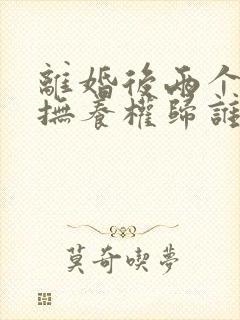 离婚后两个孩子抚养权归谁