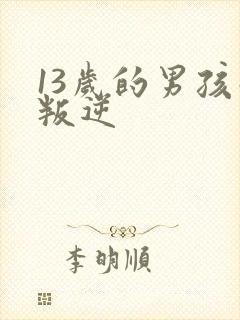 13岁的男孩子叛逆