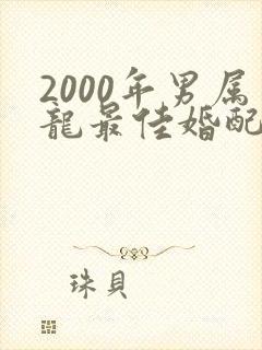 2000年男属龙最佳婚配