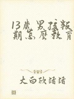 13岁男孩叛逆期怎么教育