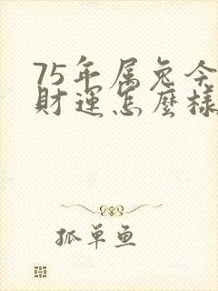 75年属兔今年财运怎么样