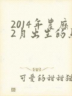 2014年农历2月出生的马命运封面