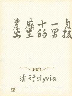 农历十一月十八出生的男孩子命运好吗?