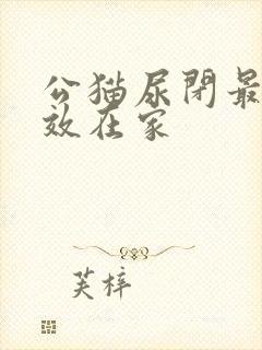 公猫尿闭最快有效在家封面