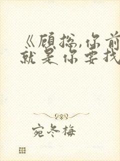 《顾总,你前妻就是你要找的人》