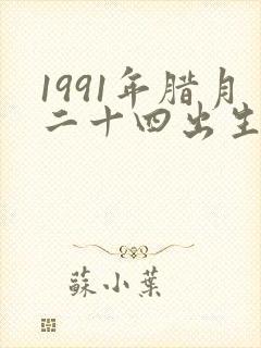 1991年腊月二十四出生的人命运封面