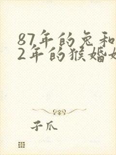 87年的兔和92年的猴婚姻相配吗