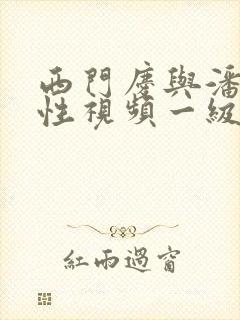 西门庆与潘金莲性视频一级