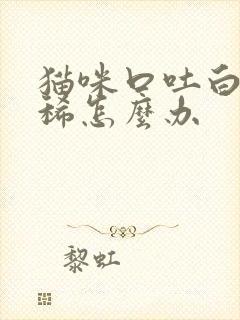 猫咪口吐白沫拉稀怎么办