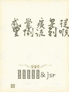 感觉痰是从鼻子里倒流到喉咙