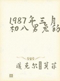1987年三月初八男兔的命运封面