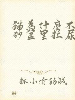 猫为什么不在猫砂盆里拉尿封面