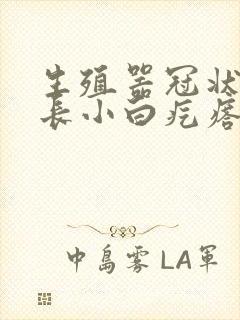 生殖器冠状沟上长小白疙瘩封面