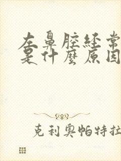 左鼻腔经常出血是什么原因