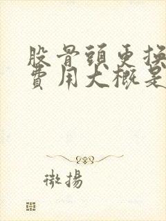 股骨头更换手术费用大概是多少钱