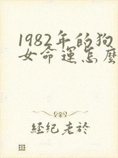 1982年的狗女命运怎么样