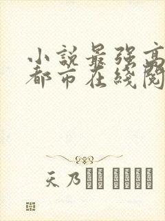 小说最强高手在都市在线阅读