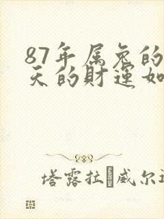 87年属兔的今天的财运如何封面