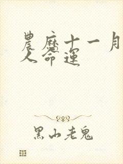 农历十一月出生人命运封面