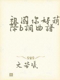 祖国你好葫芦丝降b调曲谱封面