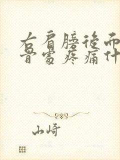 右肩膀后面肩胛骨处疼痛什么原因封面