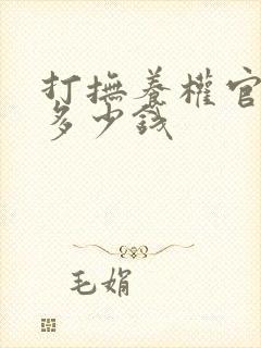 打抚养权官司要多少钱封面