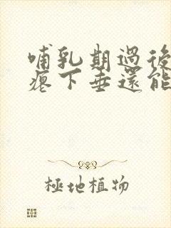 哺乳期过后胸干瘪下垂还能恢复吗