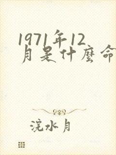 1971年12月是什么命五行属性封面