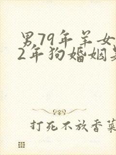 男79年羊女82年狗婚姻是否相配