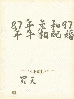 87年兔和97年牛相配婚姻如何