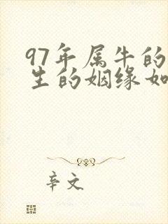 97年属牛的男生的姻缘如何