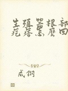 生殖器根部长硬疙瘩怎么回事