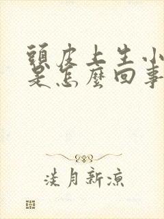 头皮上生小疙瘩是怎么回事