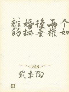 离婚后两个孩子的抚养权如何分