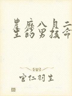 农历八月二十出生的男孩命运封面