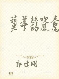 葫芦丝吹奏的月光下的凤尾竹