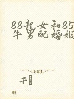 88龙女和85牛男配婚姻好不好