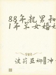 88年龙男和91年羊女婚姻相配吗封面