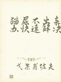 猫尿不出来怎么办快速解决