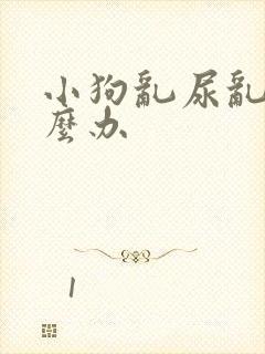 小狗乱尿乱拉怎么办