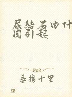 尿结石由什么原因引起