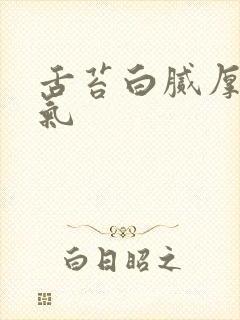 舌苔白腻厚有口气