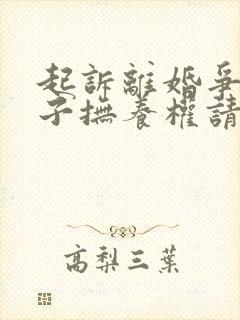 起诉离婚争取孩子抚养权请律师费用多少钱