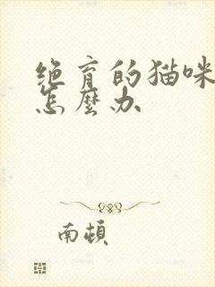 绝育的猫咪乱尿怎么办