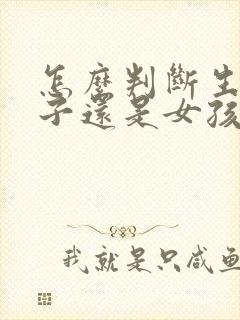 怎么判断生男孩子还是女孩