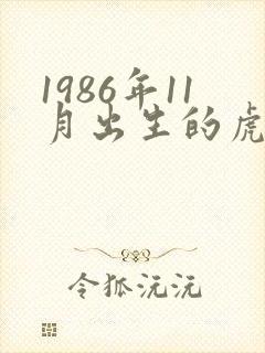 1986年11月出生的虎的命运