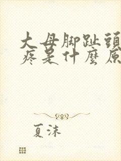 大母脚趾头关节疼是什么原因