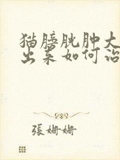 猫膀胱肿大尿不出来如何治疗