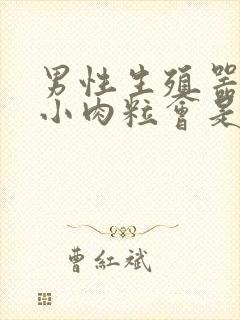 男性生殖器上长小肉粒会是什么病