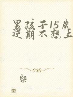 男孩子15岁叛逆期不想上学怎么办